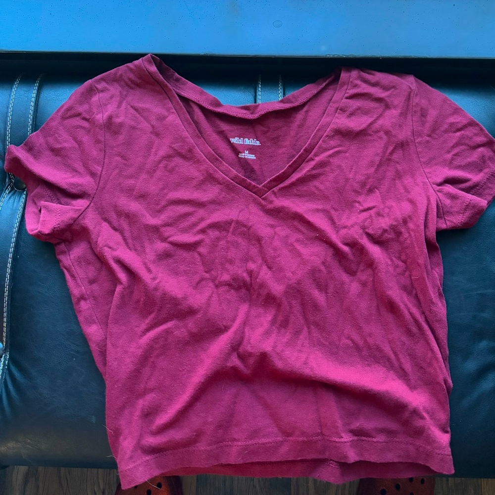 Wild Fable crop top